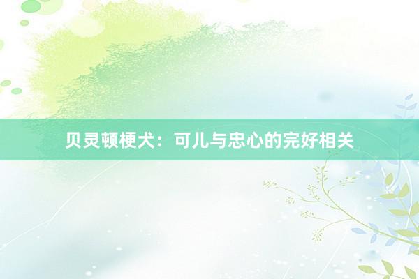 贝灵顿梗犬：可儿与忠心的完好相关