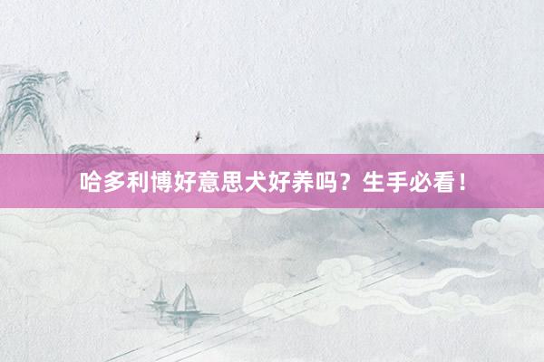 哈多利博好意思犬好养吗？生手必看！